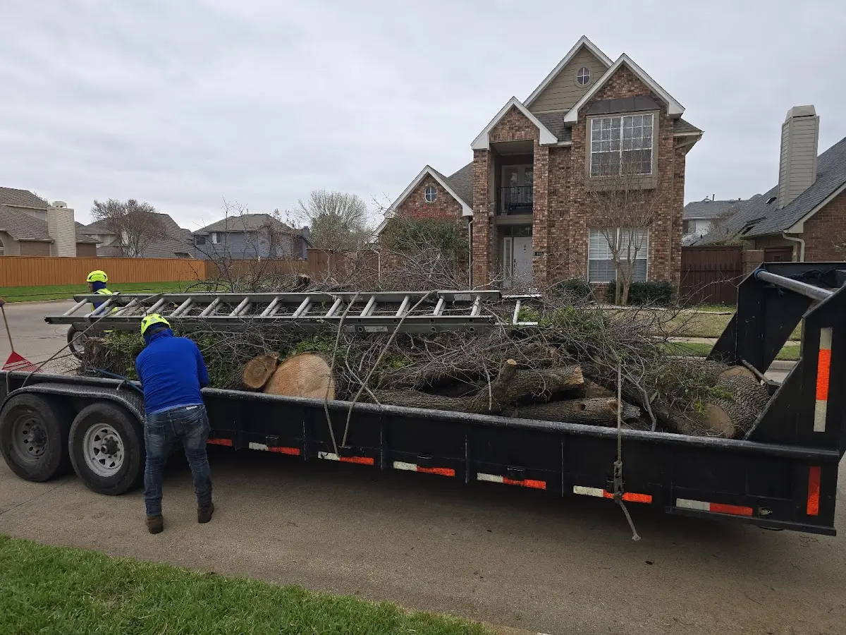 Expert Tree Fertilization with proper safety equipment in Plover